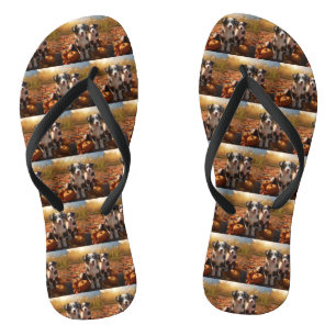 Australian Shepherd Puppy Autumn Delight Pumpkin Flip Flops