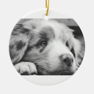 australian shepherd puppy bw ceramic tree decoration