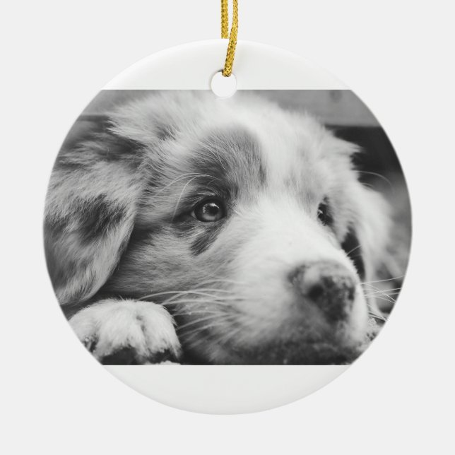australian shepherd puppy bw ceramic tree decoration (Front)