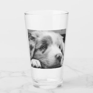 australian shepherd puppy bw glass