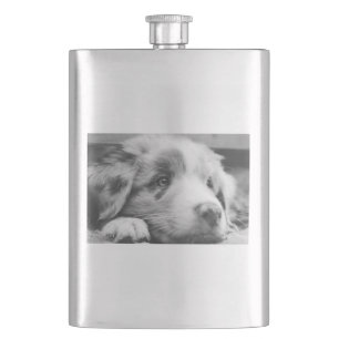 australian shepherd puppy bw hip flask