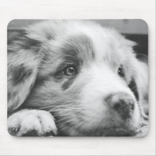 australian shepherd puppy bw mouse mat