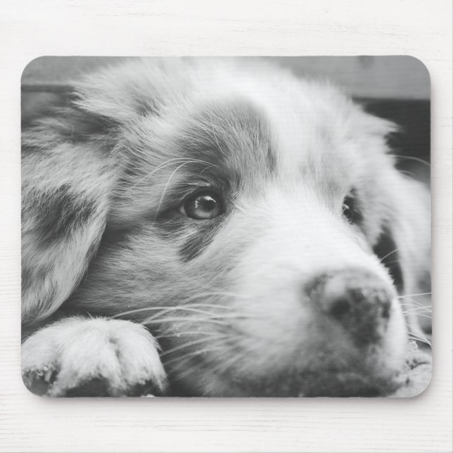 australian shepherd puppy bw mouse mat (Front)