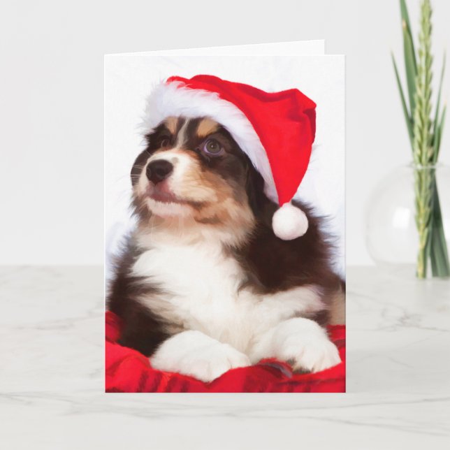 Australian Shepherd Puppy Christmas Greeting Cards (Front)