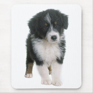 Australian Shepherd Puppy Dog - Aussie Love Mouse Mat