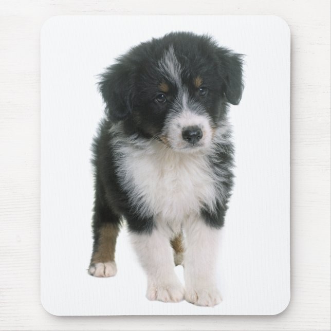 Australian Shepherd Puppy Dog - Aussie Love Mouse Mat (Front)