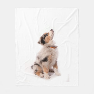 Australian shepherd puppy fleece blanket