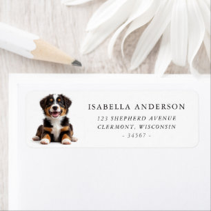 Australian Shepherd Puppy Return Address