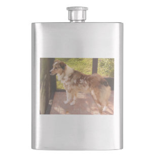 Australian_shepherd red merle full hip flask