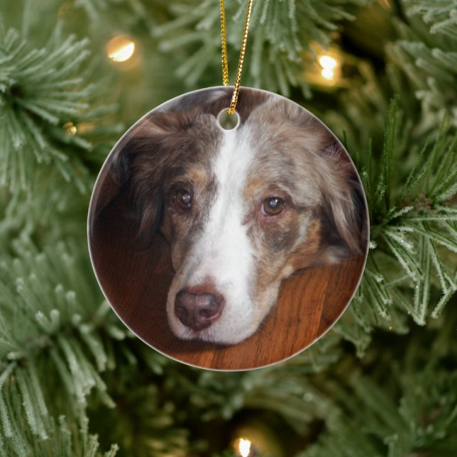 australian shepherd red merle laying flat ceramic tree decoration (Tree)