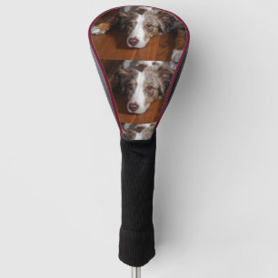 australian shepherd red merle laying flat golf head cover