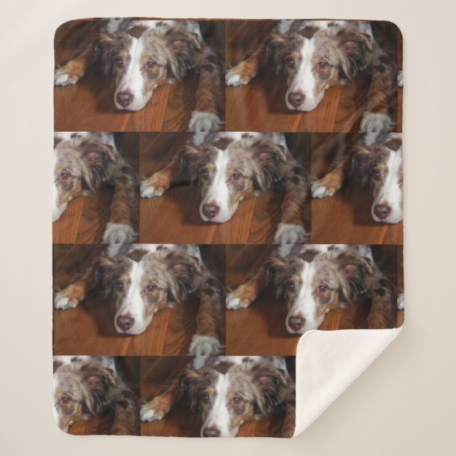 australian shepherd red merle laying flat sherpa blanket (Front)