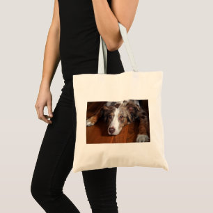 australian shepherd red merle laying flat tote bag