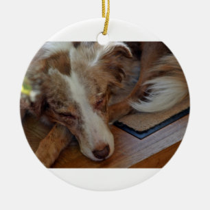australian shepherd red merle sleeping ceramic tree decoration