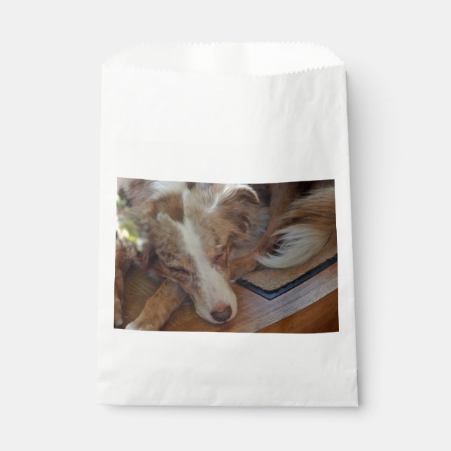 australian shepherd red merle sleeping favour bags (Front)
