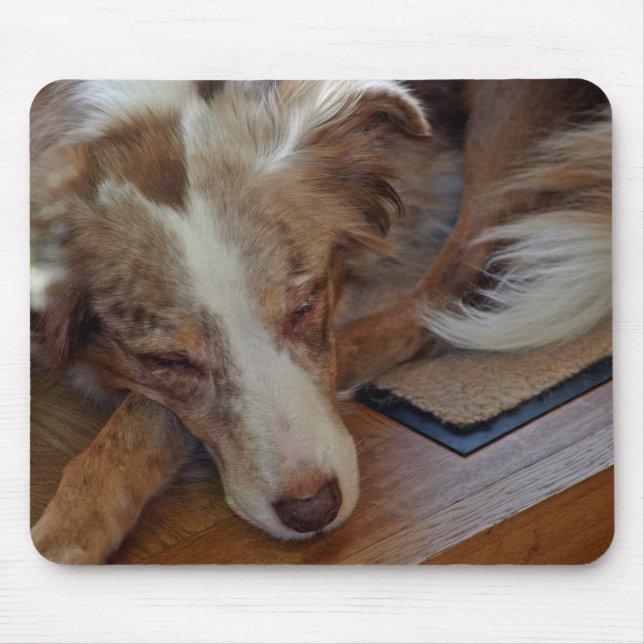 australian shepherd red merle sleeping mouse mat (Front)