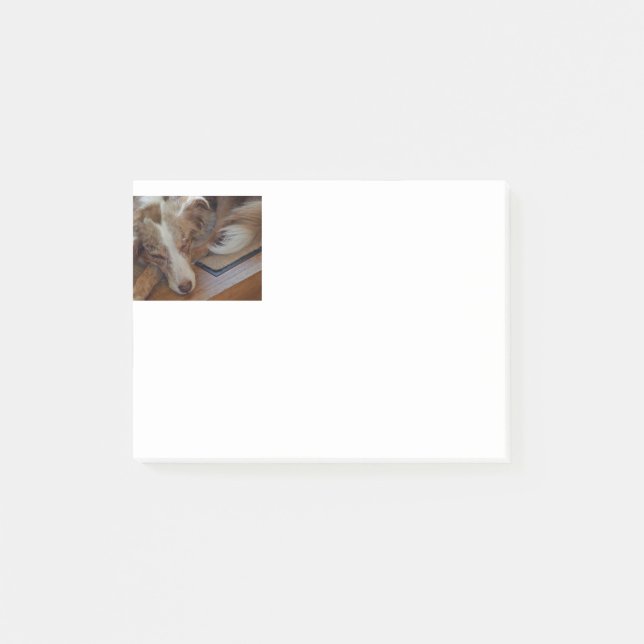 australian shepherd red merle sleeping post-it notes (Front)