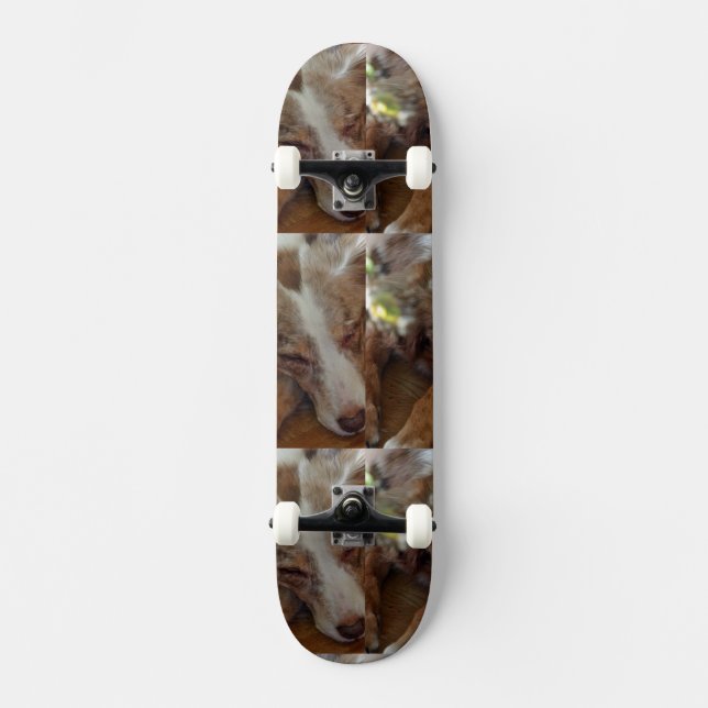 australian shepherd red merle sleeping skateboard (Front)