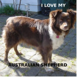 australian shepherd red tri love w pic photo sculpture key ring<br><div class="desc">a</div>