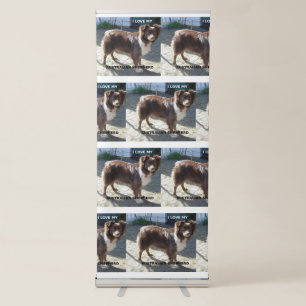 australian shepherd red tri love w pic retractable banner
