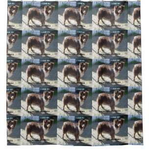 australian shepherd red tri love w pic shower curtain