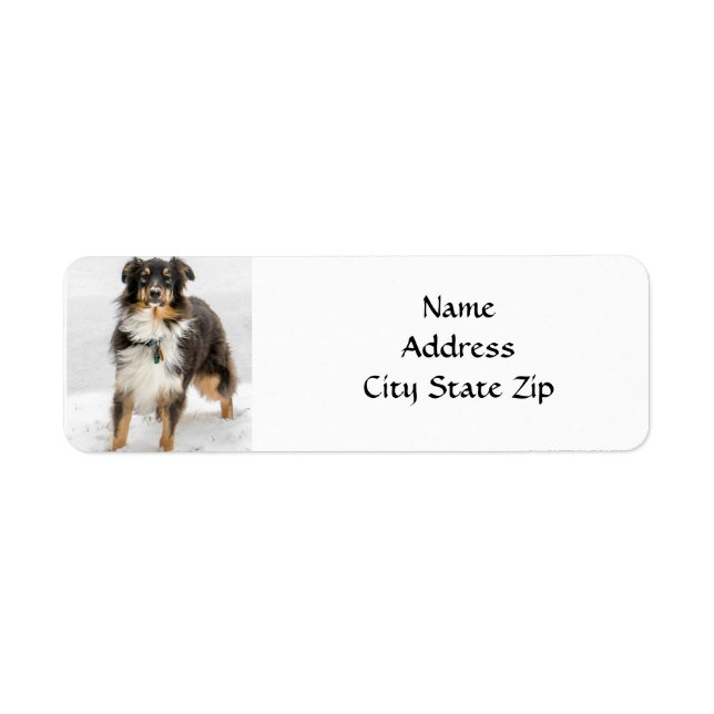 *AUSTRALIAN SHEPHERD* RETURN ADDRESS LABEL (Front)