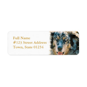 Australian Shepherd Return Address Label