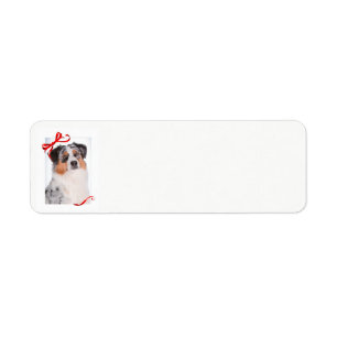 Australian Shepherd Return Address Labels