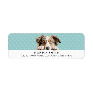 Australian Shepherd Return Address Labels