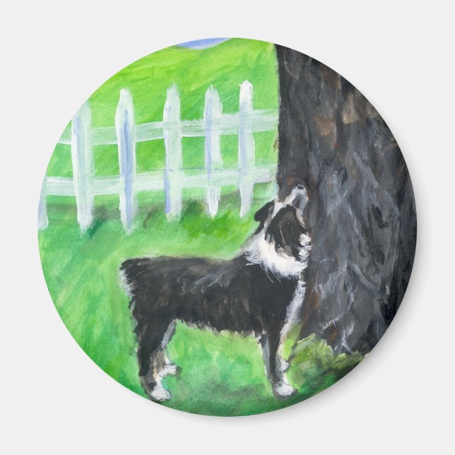 Australian Shepherd sees squirrel Magnet (Front)