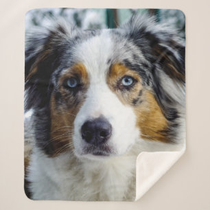 Australian Shepherd Sherpa Blanket