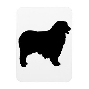 Australian Shepherd silo Magnet