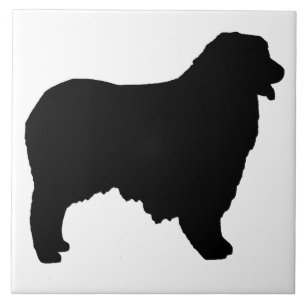 Australian Shepherd silo Tile