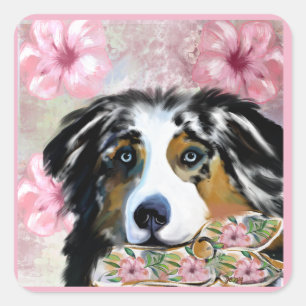 AUSTRALIAN SHEPHERD SQUARE STICKER