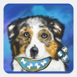 AUSTRALIAN SHEPHERD SQUARE STICKER