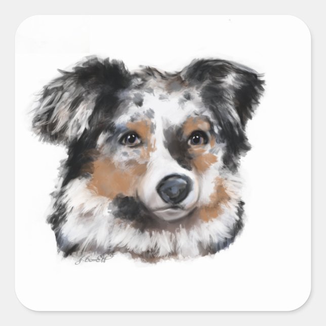 Australian Shepherd Square Sticker (Front)