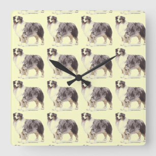 Australian Shepherd Square Wall Clock