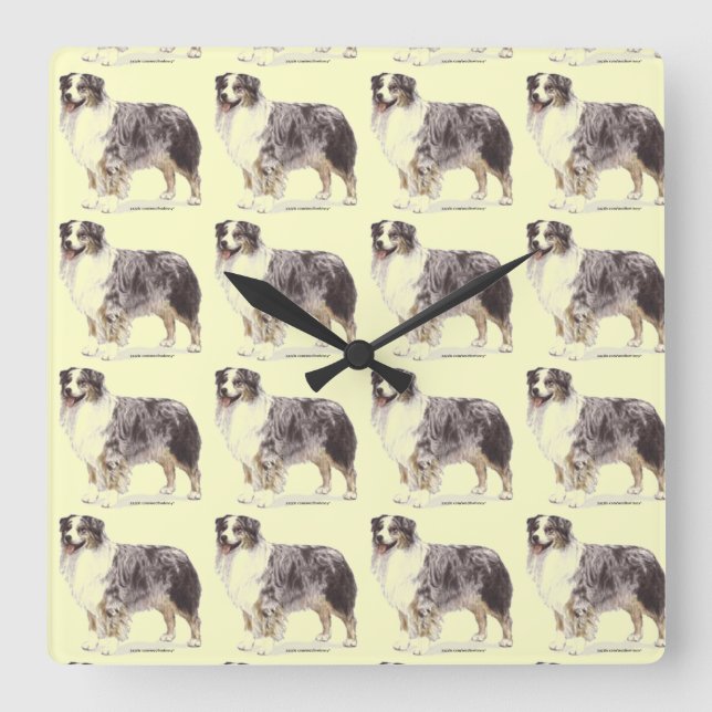 Australian Shepherd Square Wall Clock (Front)