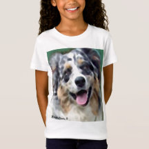 australian shepherd