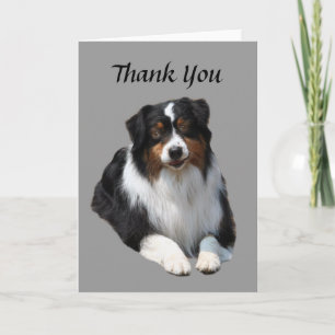 Australian Shepherd Thank You card