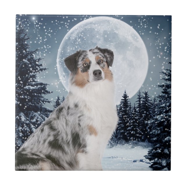 Australian Shepherd Tile (Front)