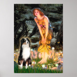 Australian Shepherd (Tri2)-Midsummers Eve Poster