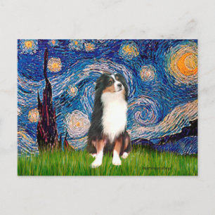 Australian Shepherd (Tri2) - Starry Night Postcard