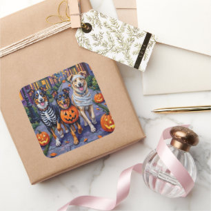 Australian Shepherd Trick-or-Treating in Halloween Square Sticker