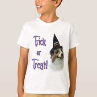 Australian Shepherd Trick