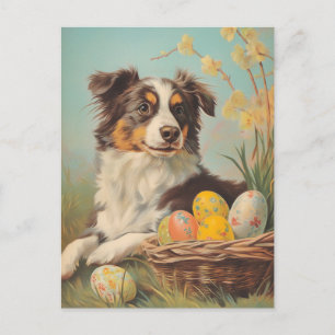 Australian Shepherd Vintage Easter Postcard