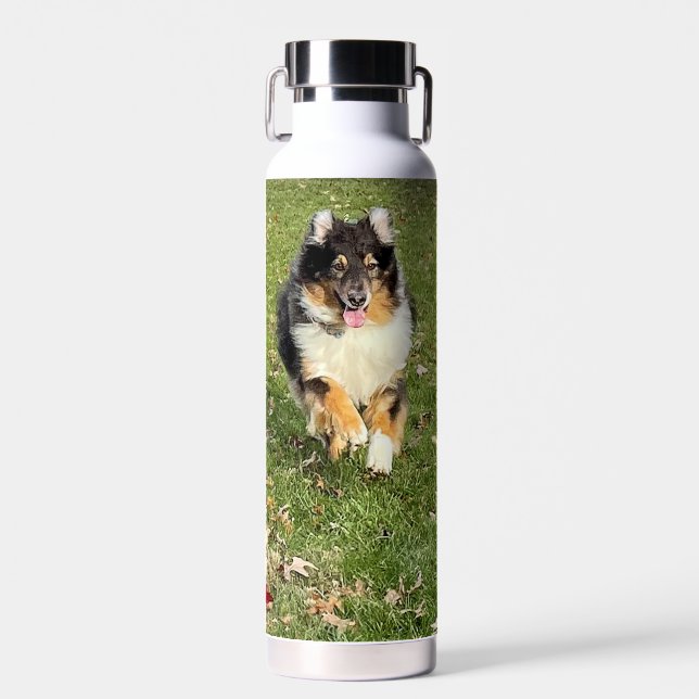 Australian Shepherd Water Bottle (Front)