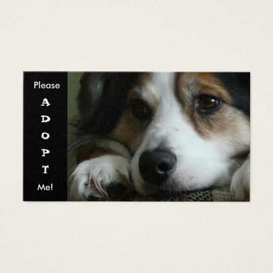 Australian Shepherd Working Dog Shelter Card