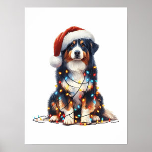 Australian Shepherd Wrapped in Christmas Light Poster