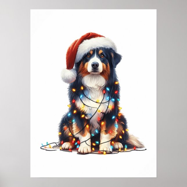 Australian Shepherd Wrapped in Christmas Light Poster (Front)